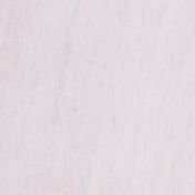 Бук Беленый