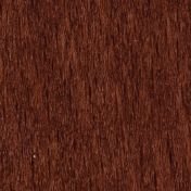 Бук Старый орех