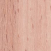 Бук Выбеленный