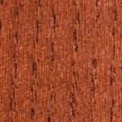 Дуб Итальянский орех 1