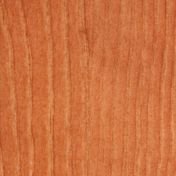 Сосна Итальянский орех 0