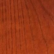 Сосна Итальянский орех 1