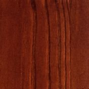 Сосна Итальянский орех 2