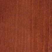 Сосна Каштан 1