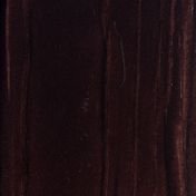 Сосна Венге 3