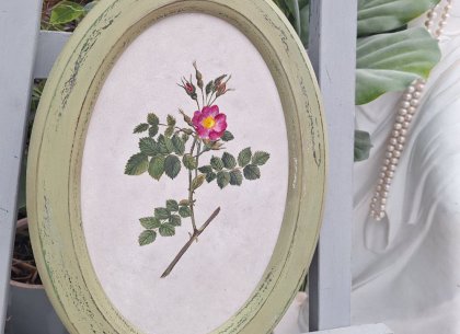 Картина Шиповник