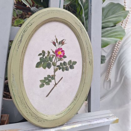 Картина Шиповник