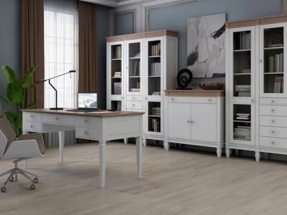 домашний кабинет Ольса