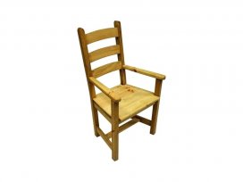 Стул-кресло (CAN-5)